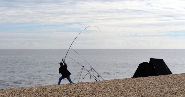 angler, fisherman, fishing, sea, nature, cast, rod, bend, beach, recreation, catch, hobby, tackle, fisher, reel, action, curve, equipment, angling, seaside